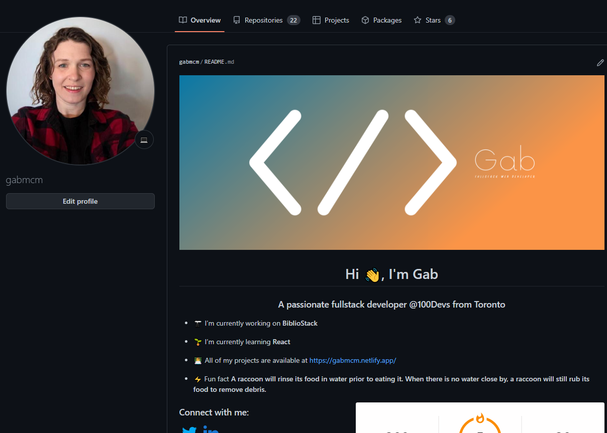 Screenshot of GabMcm's Github profile